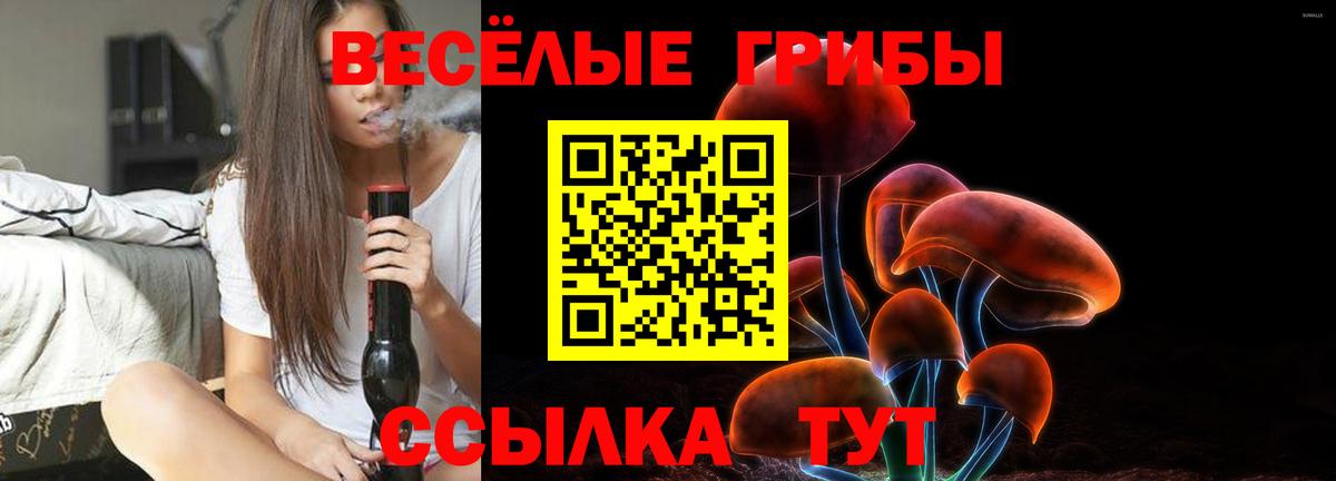 Галлюциногенные грибы GOLDEN TEACHER  Псилоцибиновые грибы Cubensis  Берёзовский  Вход с VPN 